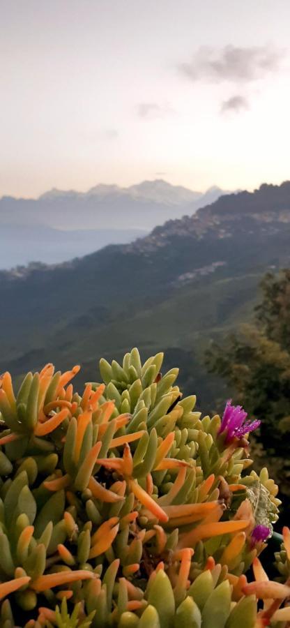 Rajbari Farms Villa Darjeeling  Eksteriør bilde